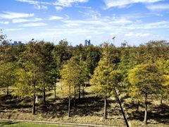 -南汇嘴观海公园