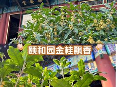 -颐和园
