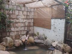 -瑜上·山食小馆