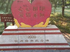-西苑公园