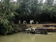 -泗洪洪泽湖湿地景区