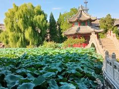 -莲池书院博物馆