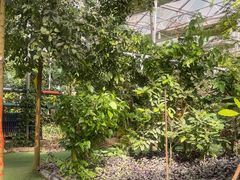 -呀路古热带植物园