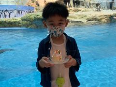 -帝企鹅自助餐厅•儿童岛•真企鹅(长隆企鹅酒店)