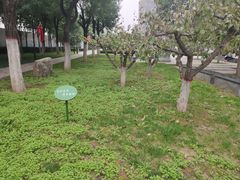 -木塔寺遗址生态公园