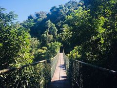 -海南槟榔谷黎苗文化旅游区