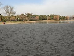 -上海佘山世茂艾美酒店