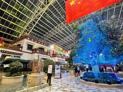 -拉萨圣地天堂洲际大饭店-自助餐厅