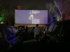 -枫花园汽车电影院(朝阳公园店)