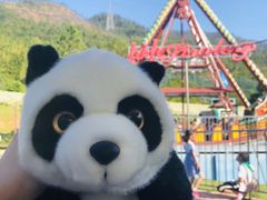 -泉州海丝野生动物世界