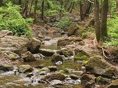 -香炉山国家森林公园