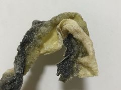 -德兴美食坊(屯门店)