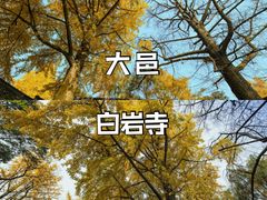 -金堂县云顶石城风景区