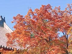 -香山公园