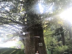 -径山寺