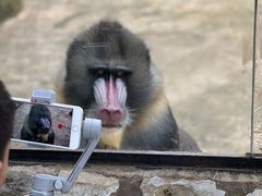 -云南野生动物园