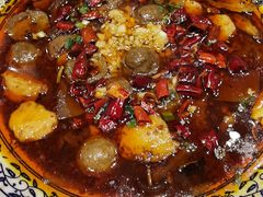 水煮毛血旺-双井轩(双井店)