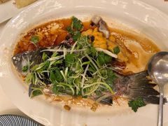 -沙龙酒家