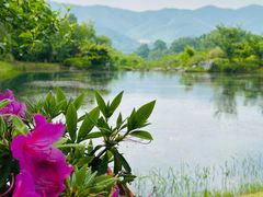 -雅达·阳羡溪山小镇中心