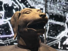 -北京世纪金源购物中心(远大路店)