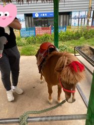 -萌宠亲子动物乐园(槐房万达店)