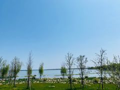 -中加枫华国际学校