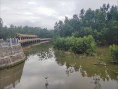 -大亚湾红树林城市湿地公园