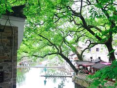 -潜山国家森林公园