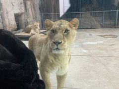 -鄂尔多斯野生动物园