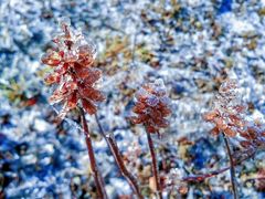 -太子岭滑雪场