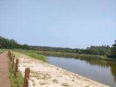 -崇明东平国家森林公园烧烤房车露营地