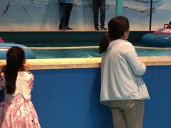 -蒙特利亲子乐园