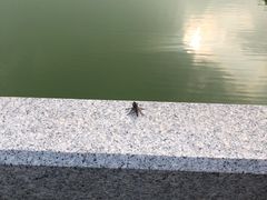 -黄巢水库