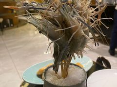 -阿杜打边炉(五江天街店)