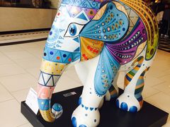 -naraya(玛雅百货店)