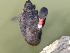 -祥源·阜阳生态乐园