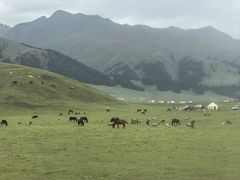 -新疆那拉提国家旅游度假区