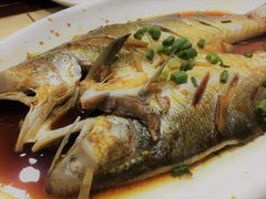 -红灯笼龙凤饭店(宁波老字号店)