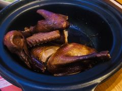 -美食小镇·观赏珍稀鸟类·长隆熊猫酒店