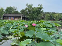 -承德避暑山庄景区