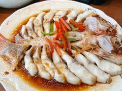 清蒸彩虹斑-九井澤精致料理(金茂店)