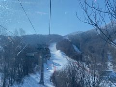 -亚布力新体委滑雪场