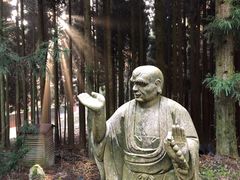 -武陵山森林公园