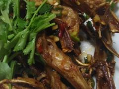 -阳江餐厅·30年老字号·粤菜海鲜大排档