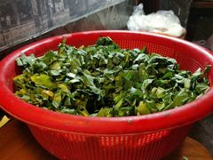 -舒蔡记生煎菜饭(云南中路店)
