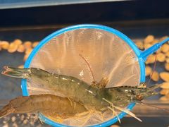 -常德武陵天济喜来登酒店-盛宴餐厅