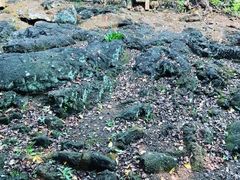 -海口火山口国家地质公园