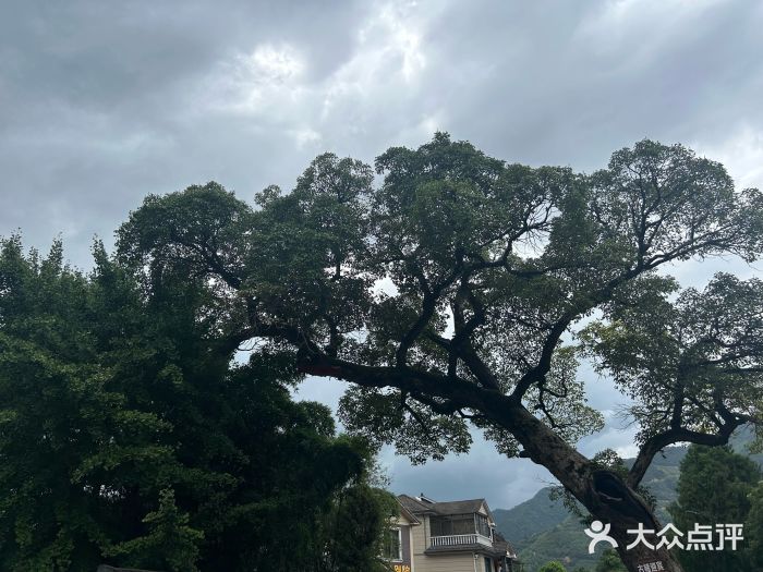 雅鲁激流探险漂流图片