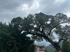 -雅鲁激流探险漂流