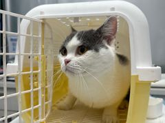 -博特宠物医院24h犬猫全科.骨科·异宠